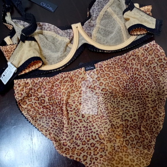 NWT Bra and Panty Matching Set 34D/S - Picture 4 of 7